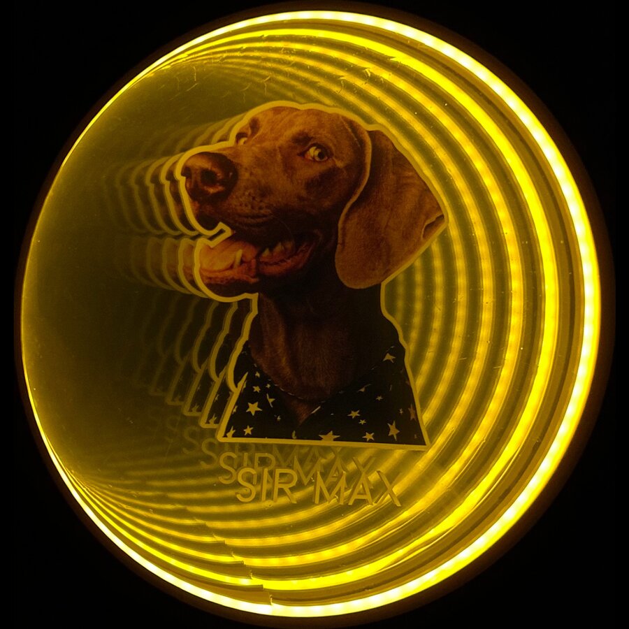 Sir Max, a custom pet portrait infinity mirror glowing with LED light, centered in a ring of light